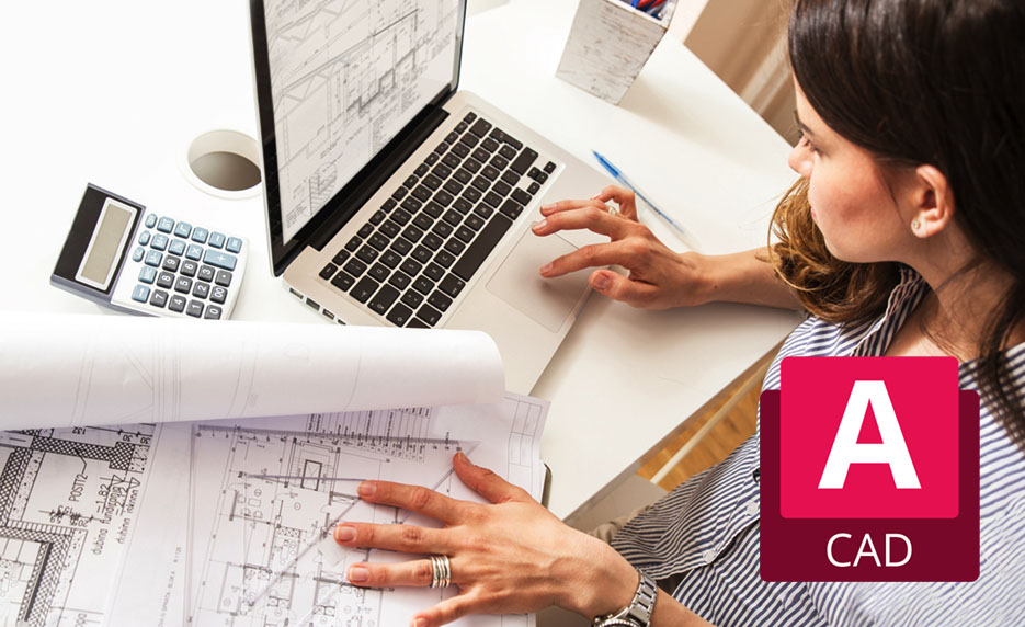 Online AutoCAD Certification Training (Voucher Included) from Concordia